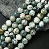 Natural Tree Agate Round Gemstone Beads Strands G-R255-10mm-1