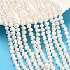 Natural Cultured Freshwater Pearl Beads Strands PEAR-L034-09A-1