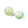 Opaque Spray Painted Glass Beads X1-GLAA-G118-01B-2