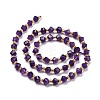 Natural Amethyst Beads Strands G-P463-23-3