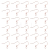 316 Surgical Stainless Steel Earring Hooks STAS-P220-13RG-1