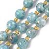 Electroplated Natural Druzy Geode Crystal Beads Strands G-G459-02L-1