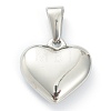 304 Stainless Steel Pendants X-STAS-P278-01C-P-2