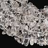 Natural Quartz Crystal Beads Strands GG-CBAC61B-C03-01-3