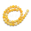 Natural Weathered Agate Bead Strands G-S237-10mm-02-2