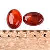 Natural Carnelian Cabochons G-D860-A22-4