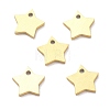 Ion Plating(IP) 304 Stainless Steel Pendants STAS-K216-46G-2