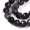 Natural Cordierite/Iolite/Dichroite Beads Strands G-S345-8mm-27-4