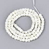 Natural Trochid Shell/Trochus Shell Beads Strands SSHEL-N041-04B-01-2