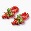 Resin Cabochons RESI-R429-12-3