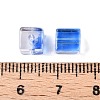 Baking Paint Transparent Glass Beads DGLA-N005-01A-02-4