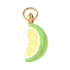 304 Stainless Steel Pendants STAS-D205-04A-G-1