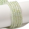 Natural Prehnite Beads Strands G-B090-A19-03-1