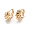 Brass Hoop Earrings for Women KK-CBACA55-14G-2