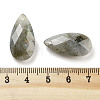 Natural Labradorite Pendants G-H007-08I-3