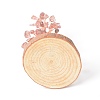Natural Strawberry Quartz Chips with Brass Wrapped Wire Money Tree on Wood Base Display Decorations DJEW-B007-05E-3