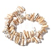 Dyed Natural Trochus Shell Beads Strands SSHEL-C013-09K-2