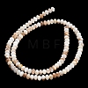 Natural Freshwater Shell Beads Strands SHEL-C010-04B-01-3