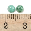 Natural Amazonite Cabochons G-H309-03-62-3