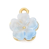 Alloy Glass Charms FIND-C079-05G-04-1