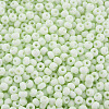 6/0 Glass Seed Beads SEED-T005-14-B17-3