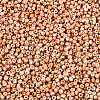 Picasso Glass Seed Beads GL-N001-01A-09-3