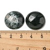 Natural Moss Agate Cabochons G-C115-02A-46-3