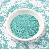 MIYUKI Delica Beads SEED-X0054-DB1136-2