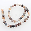 Dyed & Heated Natural Striped Agate/Banded Agate Round Beads Strands G-E230-01-8mm-2