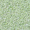 Glass Seed Beads SEED-S060-A-971-3
