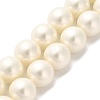 Shell Pearl Beads Strands BSHE-XCP0001-33-1