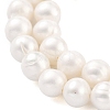 Natural Cultured Freshwater Pearl Beads Strands PEAR-C003-13C-4