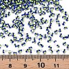 12/0 Glass Seed Beads SEED-S005-16-4