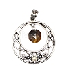 Natural Tiger Eye Faceted Hexagon Pendants PW-WGD21FA-01-1