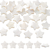 60Pcs Natural Shell Beads Strands SHEL-PH0002-30-1