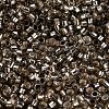 Glass Seed Beads SEED-S042-04A-09-3