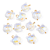 10Pcs Glass Pendants PALLOY-YW00061-01-1