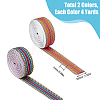 DICOSMETIC 2Pcs 2 Colors Flat Ethnic Style Polyester Stripe Ribbon SRIB-DC0001-01-2