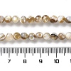 Natural Freshwater Shell Beads Strands SSHEL-B002-15-4