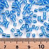 8/0 Glass Bugle Beads SEED-S032-07A-23B-4