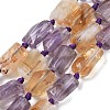 Natural Ametrine Beads Strands G-C270-K20-2