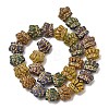 Painted Glass Beads Strands GLAA-H042-01-2