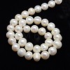 Grade A Natural Cultured Freshwater Pearl Beads Strands PEAR-L001-A-10-01-3