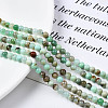 Natural Chrysoprase Beads Strands G-S333-4mm-016-4