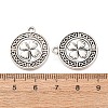 Tibetan Style Alloy Pendants FIND-C094-07AS-3