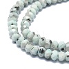 Natural Sesame Jasper Beads Strands G-F715-094-3