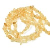 Gemstone Beads Strands F044-3