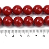 Shell Pearl Beads Strands X-BSHE-K015-14mm-01-4