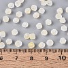 Frosted Glass Seed Beads SEED-N012-01F-4