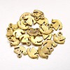 Alloy Charms EA9092Y-G-1